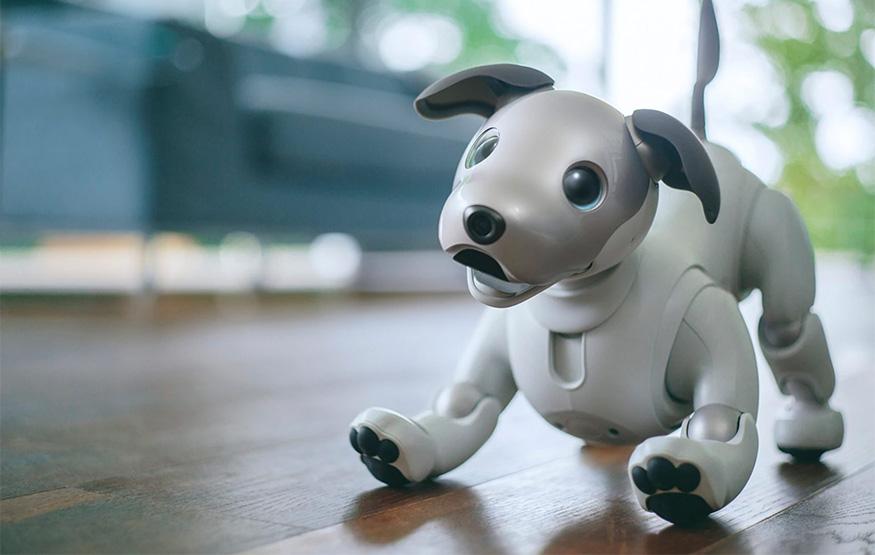Sony’s new Aibo robo-dog is the cutest piece of tech in years