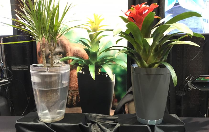 CES 2016: Parrot’s self-watering flowerpot finally coming to market