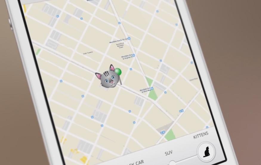 Uber delivering kittens across six Australian cities