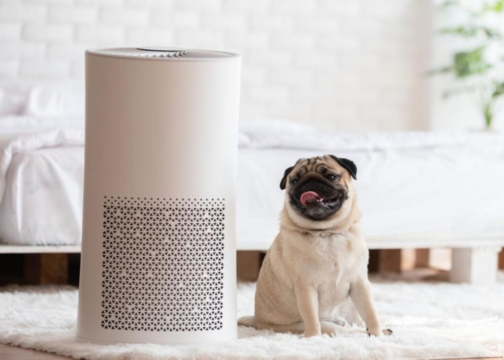 Air Purifiers – breathe easy this spring (2024 update guide)